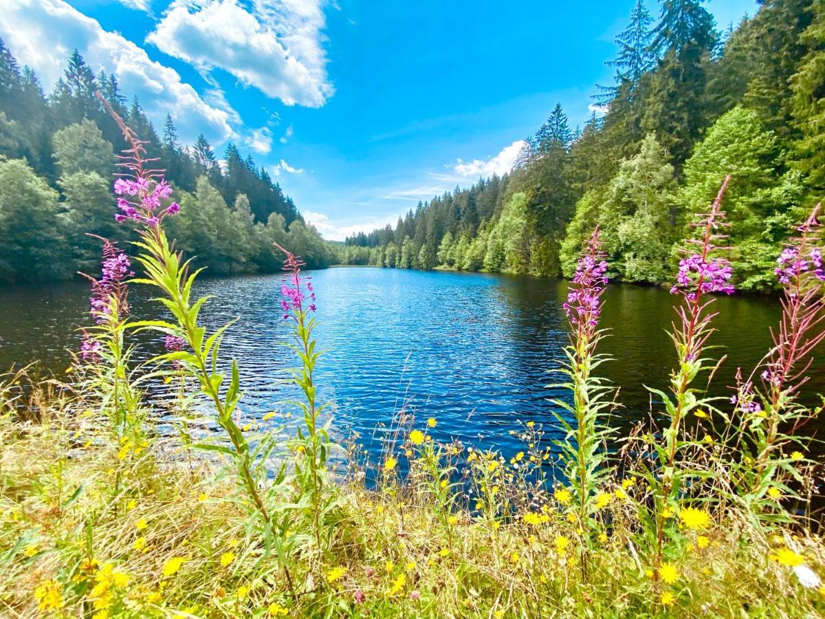 B&B Am Oker, Altenau, Harz Altenau  Exteriör bild