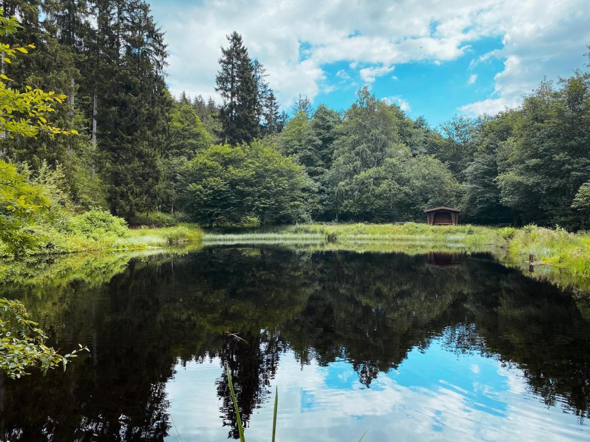 B&B Am Oker, Altenau, Harz Altenau  Exteriör bild