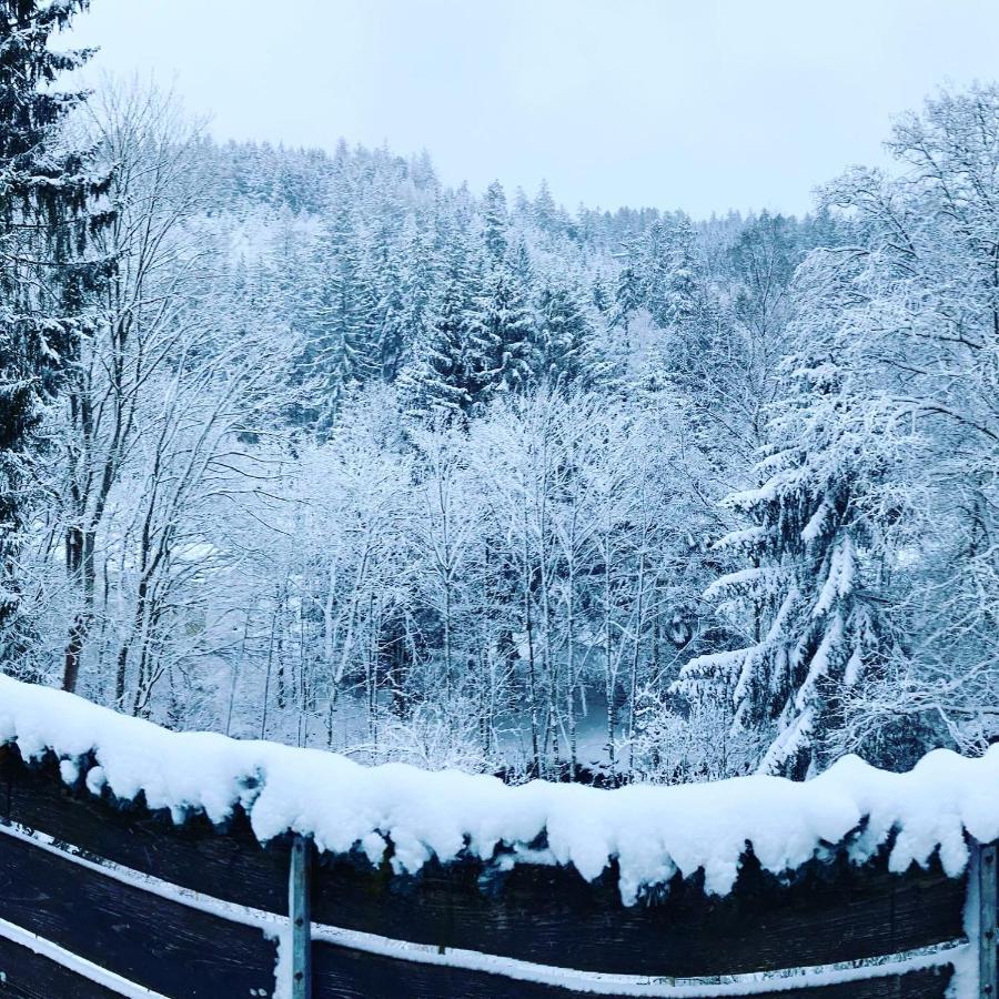 B&B Am Oker, Altenau, Harz Altenau  Exteriör bild