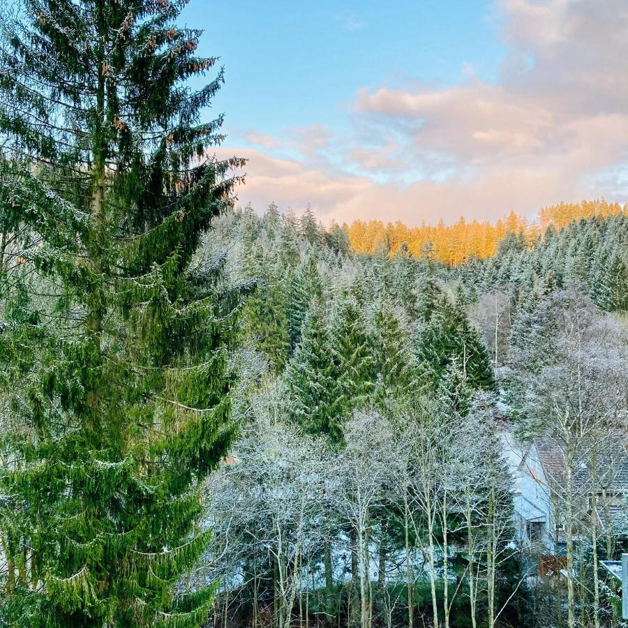 B&B Am Oker, Altenau, Harz Altenau  Exteriör bild